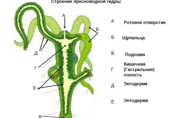 Мега зеркала тор онион мориарти кракен