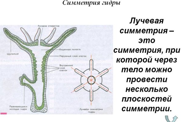 Кракен даркнет плейс