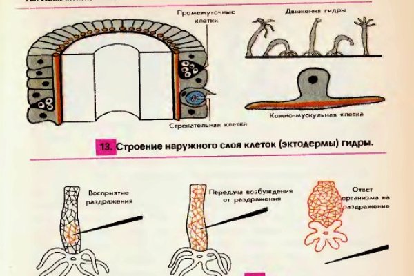 Взломанный аккаунт кракен